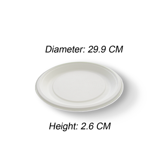 12" ROUND PLATE
