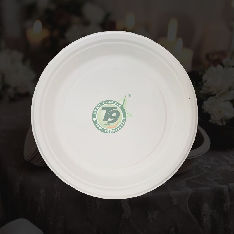9" Round Plate