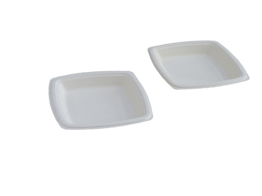 12" 5 cp Rectangle Plate