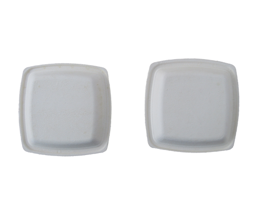 12" 5 cp Rectangle Plate