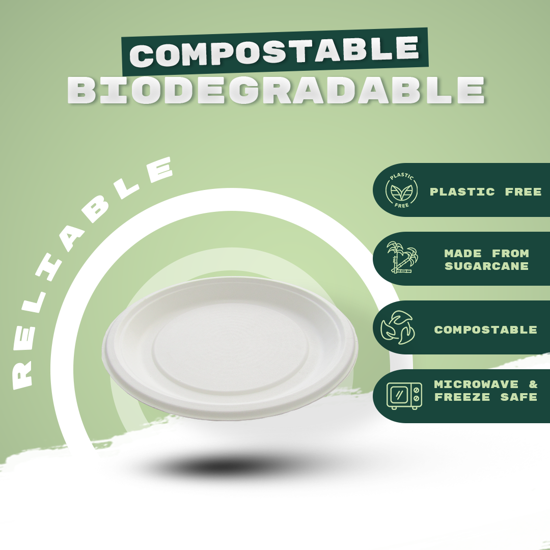 11 " ROUND PLATE
