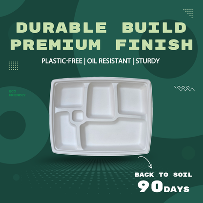 12" 5 CP RECTANGLE PLATE
