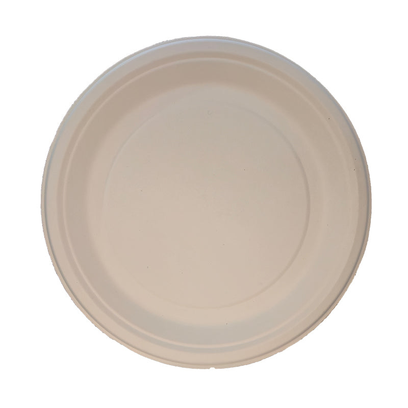 10" Round Plate