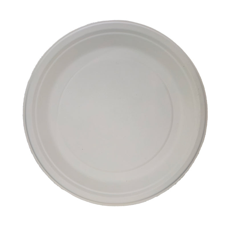 10" Round Plate