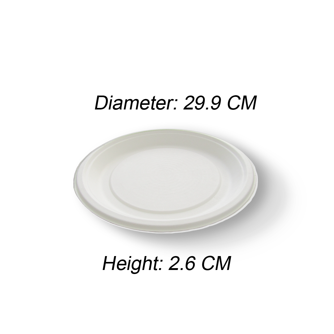 12" ROUND PLATE