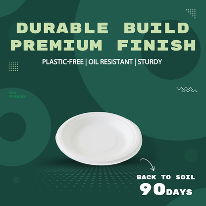 6"  ROUND PLATE