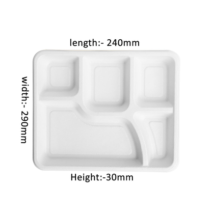 5 COMPARTMENT TRAY