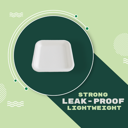 7" SQUARE PRIME PLATE