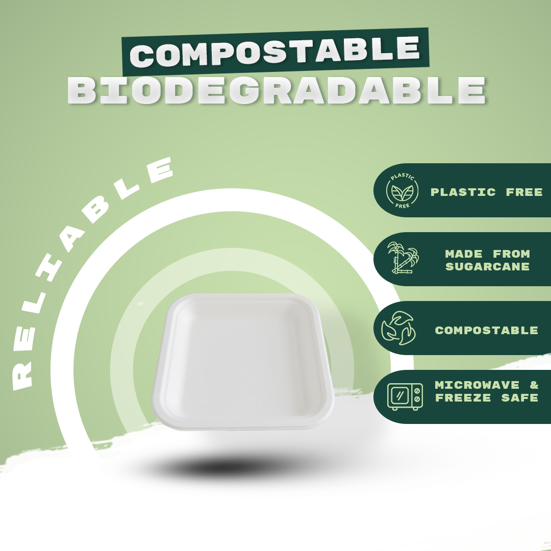 7" SQUARE PRIME PLATE