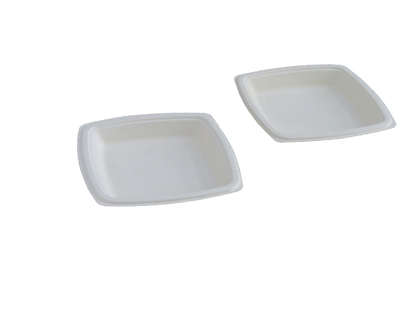12" 5 cp Rectangle Plate