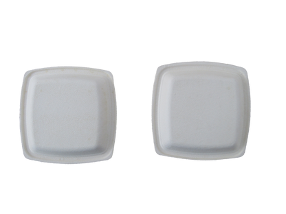 12" 5 cp Rectangle Plate