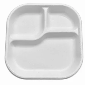 3 COMPARTMENT TRAY