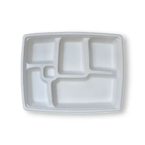 12" 5 CP RECTANGLE PLATE