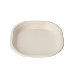 10" SQUARE PLATE