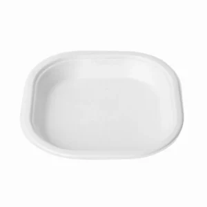 9" SQUARE PLATE