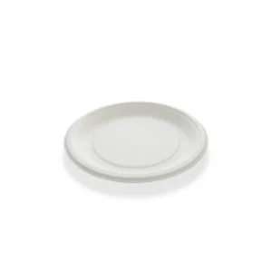 12" ROUND PLATE
